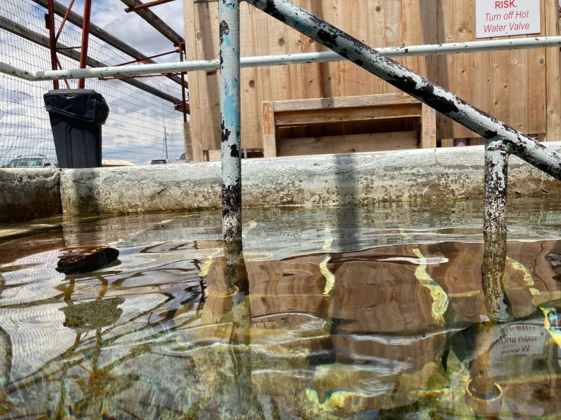 Metal bars submerged in a small pool with wooden structure in background.