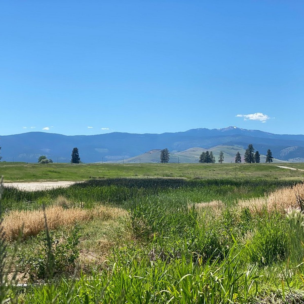 Open grassy field with mountains and clear blue sky in the background.
