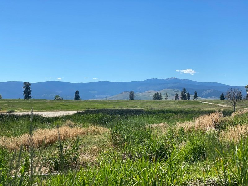 Grassy field with distant mountains under a clear blue sky.
