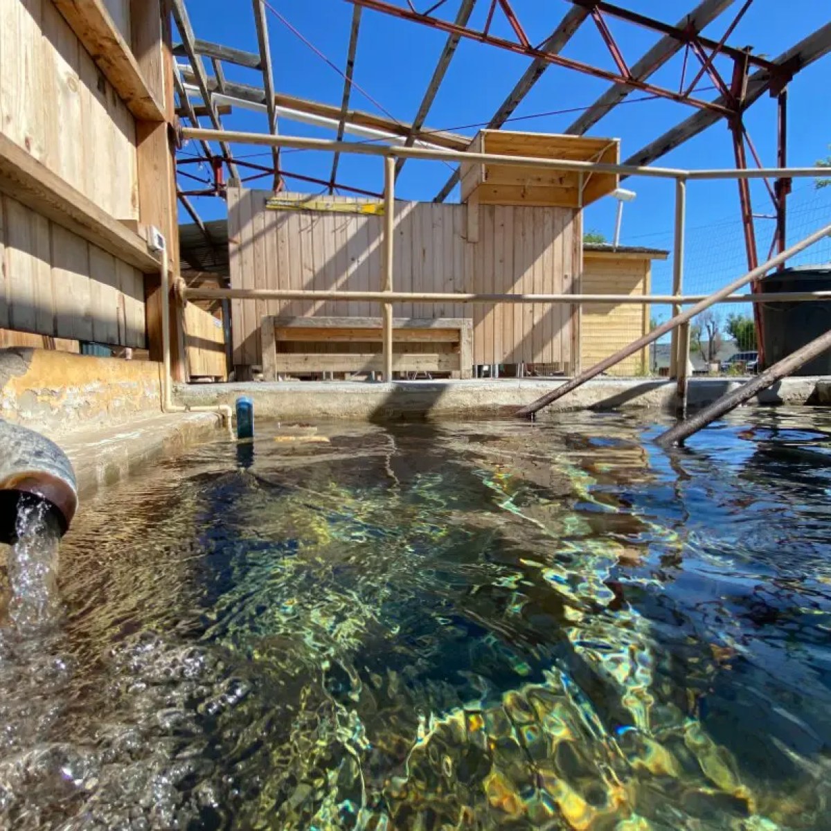 Outdoor pool with wooden structure and pipe flowing water under blue sky.