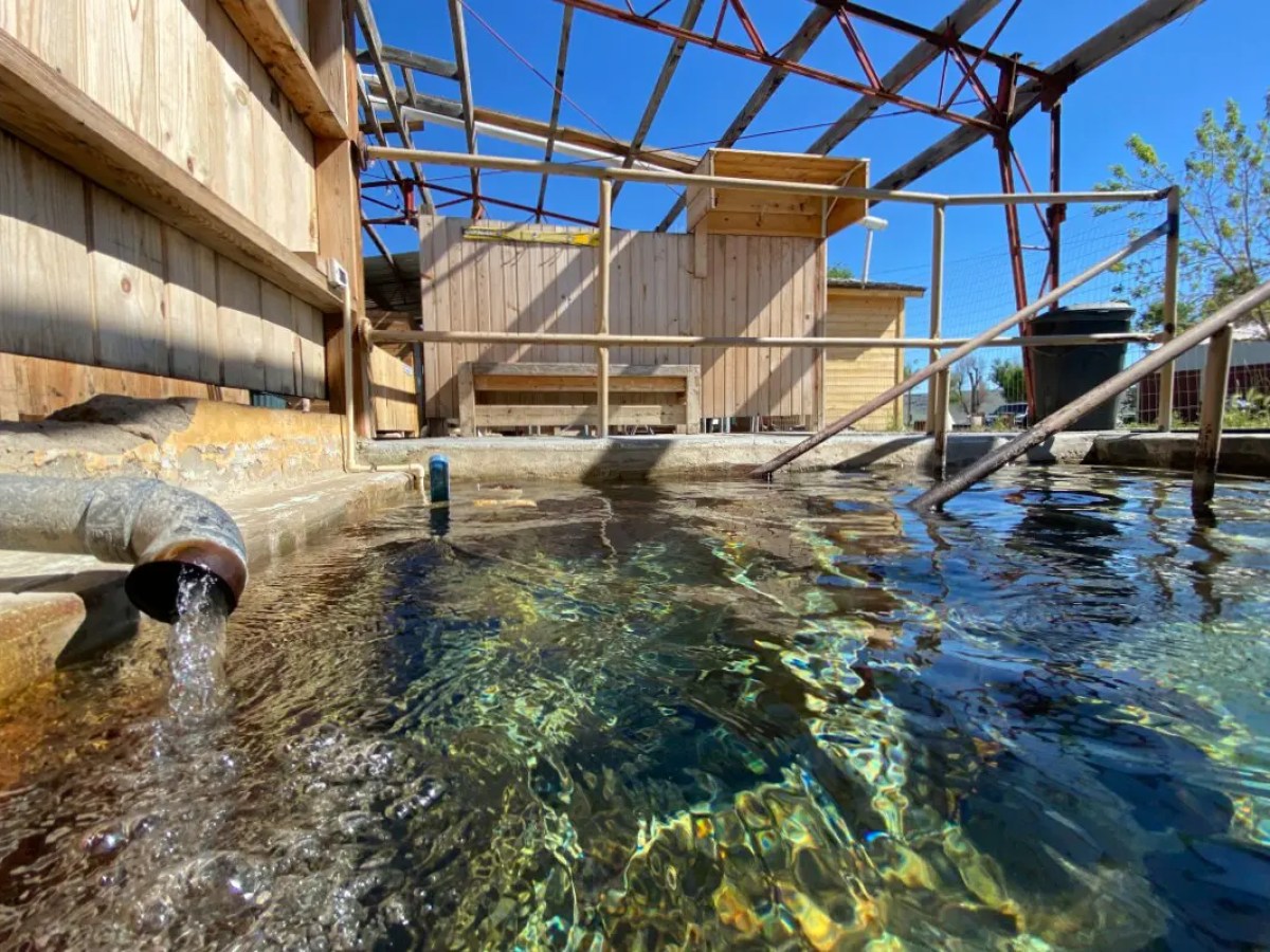 Outdoor hot spring pool with water flowing from a pipe.