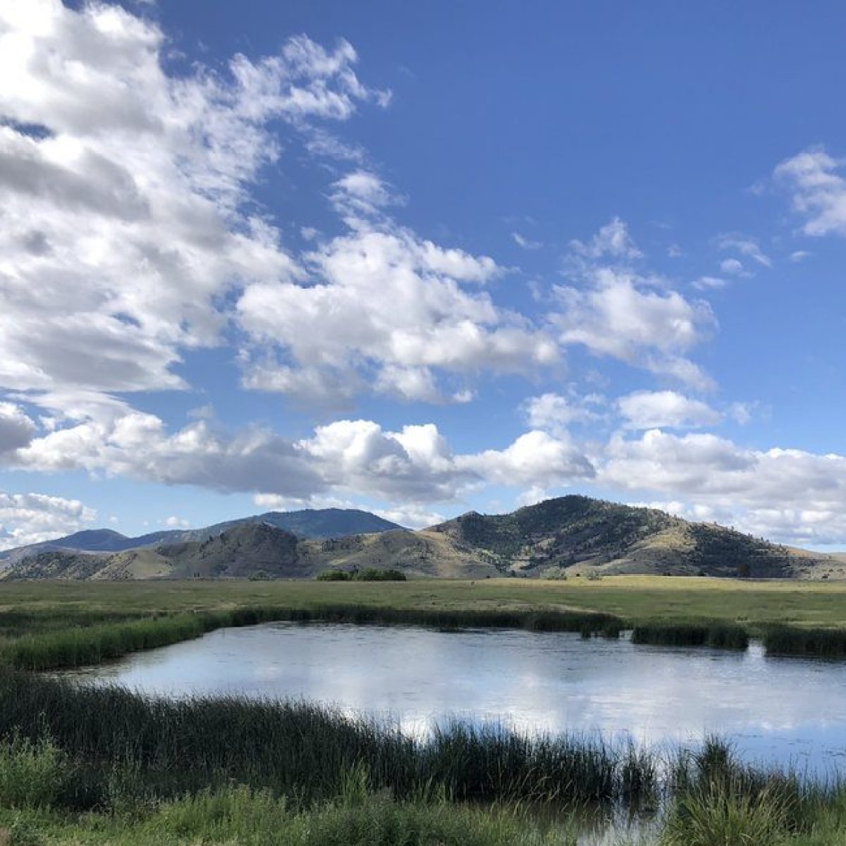 Tranquil pond with a bench and hills in the background under a partly cloudy sky.